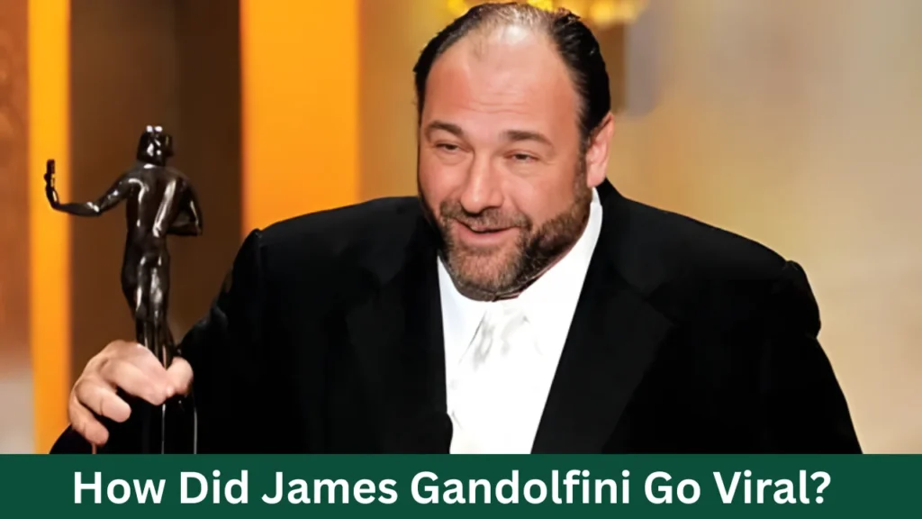 How Did James Gandolfini Go Viral?
