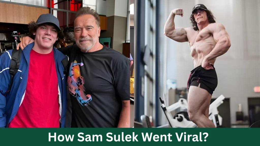 How Sam Sulek Went Viral?
