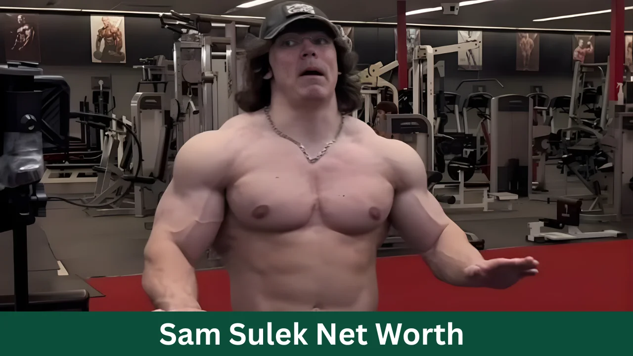 Sam Sulek Net Worth