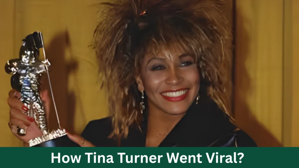 How Tina Turner Went Viral?