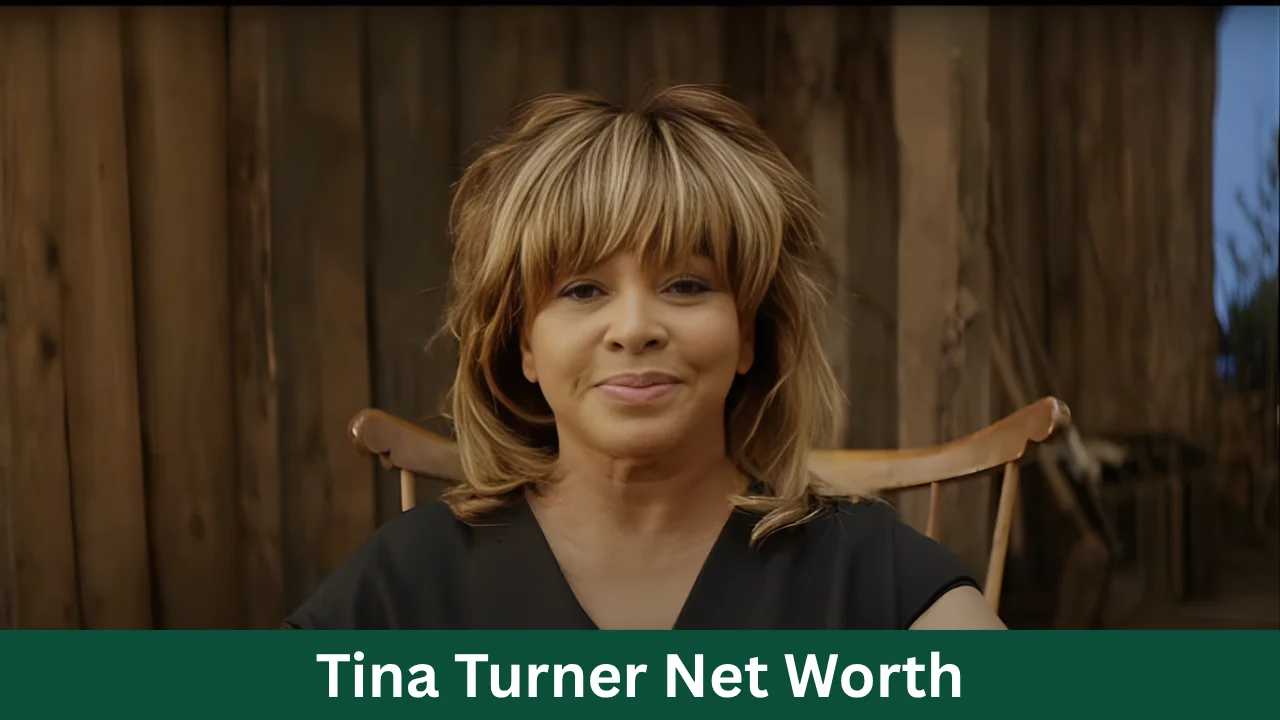 Tina Turner Net Worth