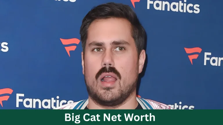 Big Cat Net Worth