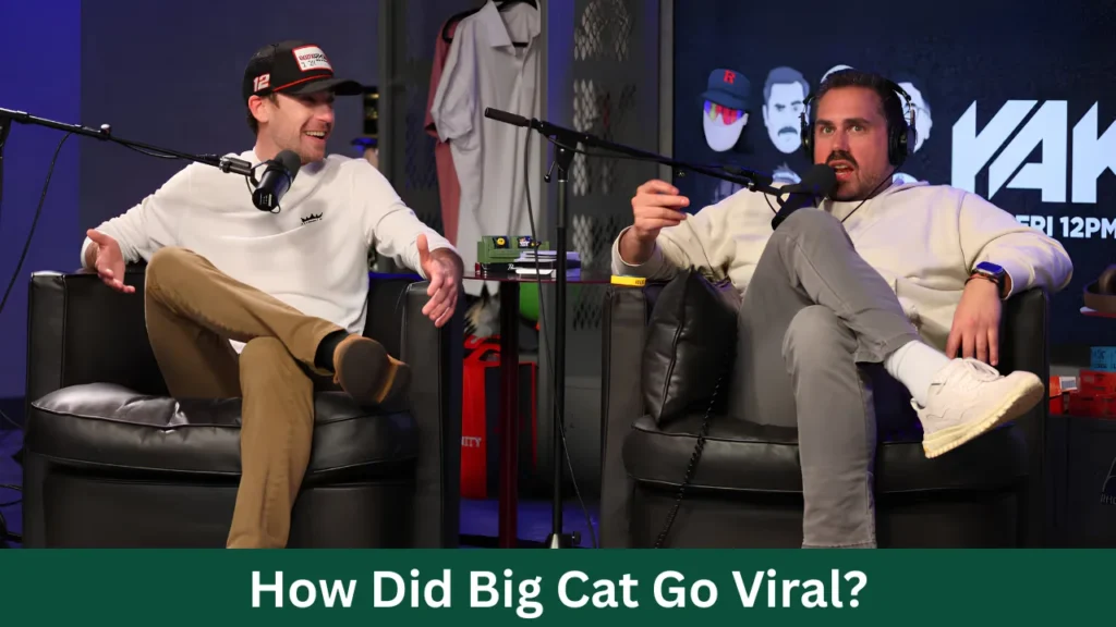 How Did Big Cat Go Viral?