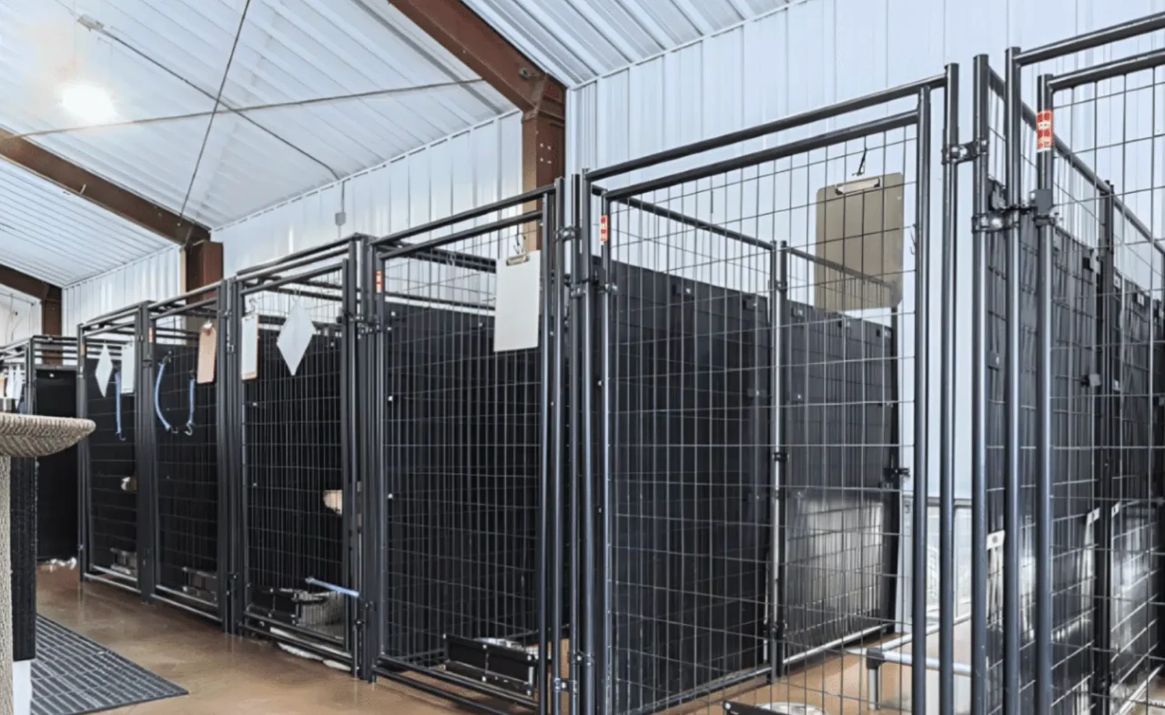 Key Features to Include in Steel Animal Housing Across Quebec