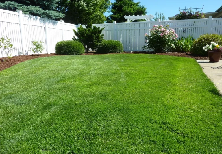 What Makes a Backyard Feel Like a True Extension of the Home
